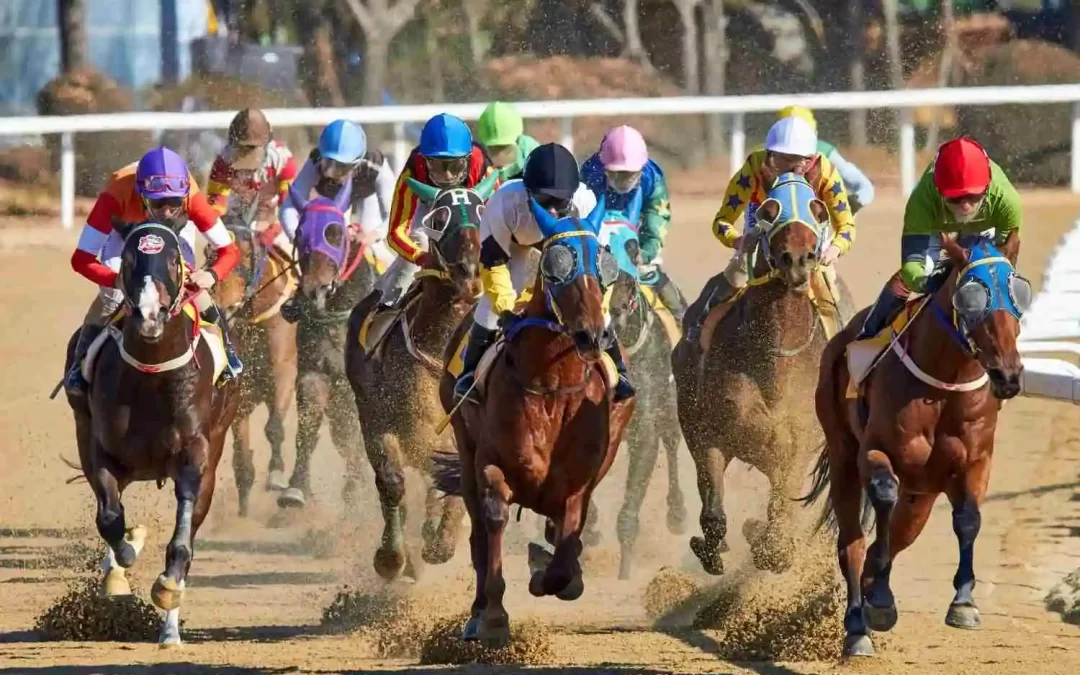 Horse racing competition on a dirt track representing betting, gaming localization, and multilingual sports wagering content translation.