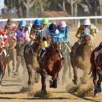 Horse racing competition on a dirt track representing betting, gaming localization, and multilingual sports wagering content translation.