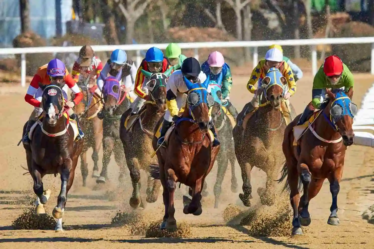 Sports Betting Localization Services: How to Adapt Betting Platforms for Global Markets