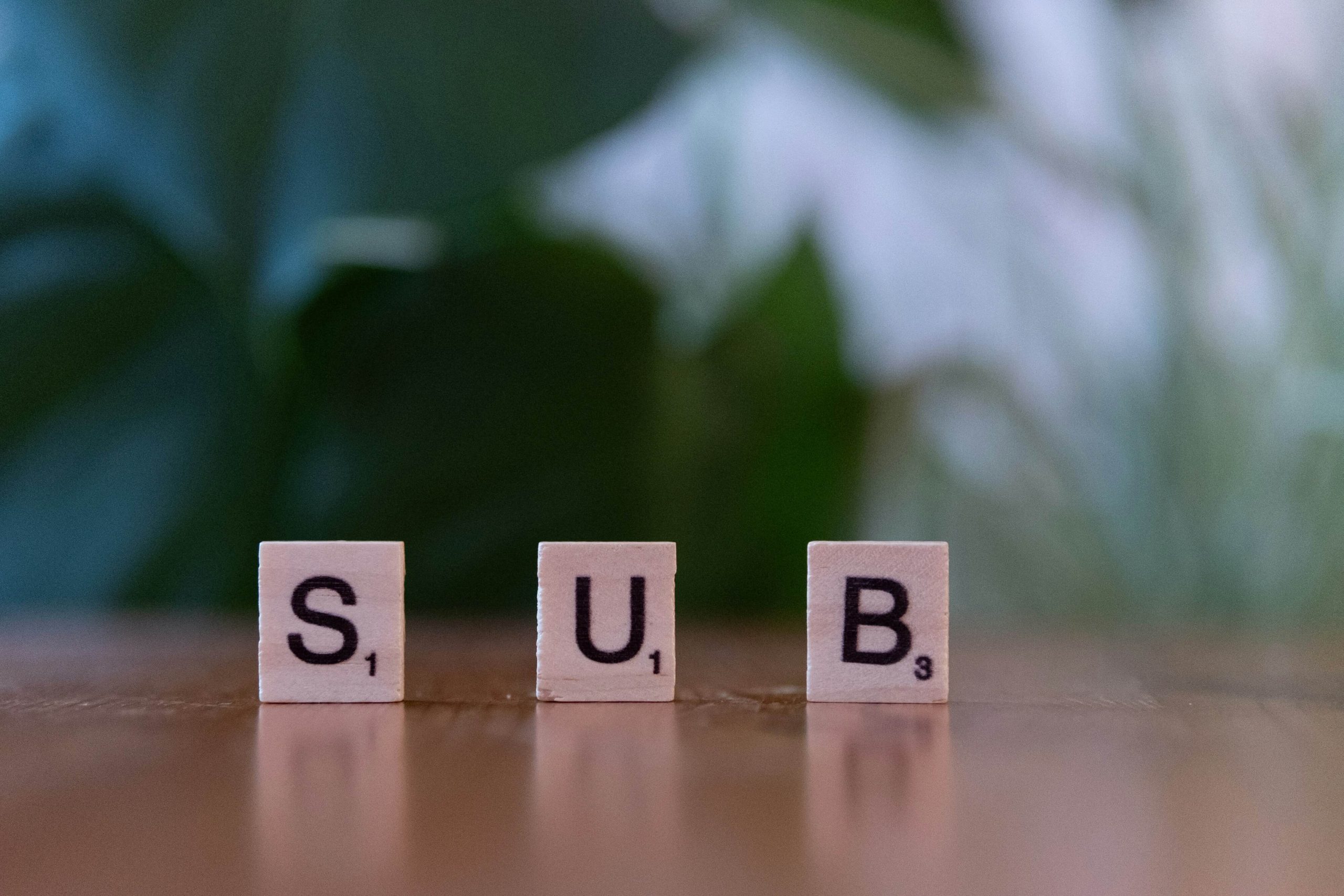 10 Best Practices for Professional Subtitle Services